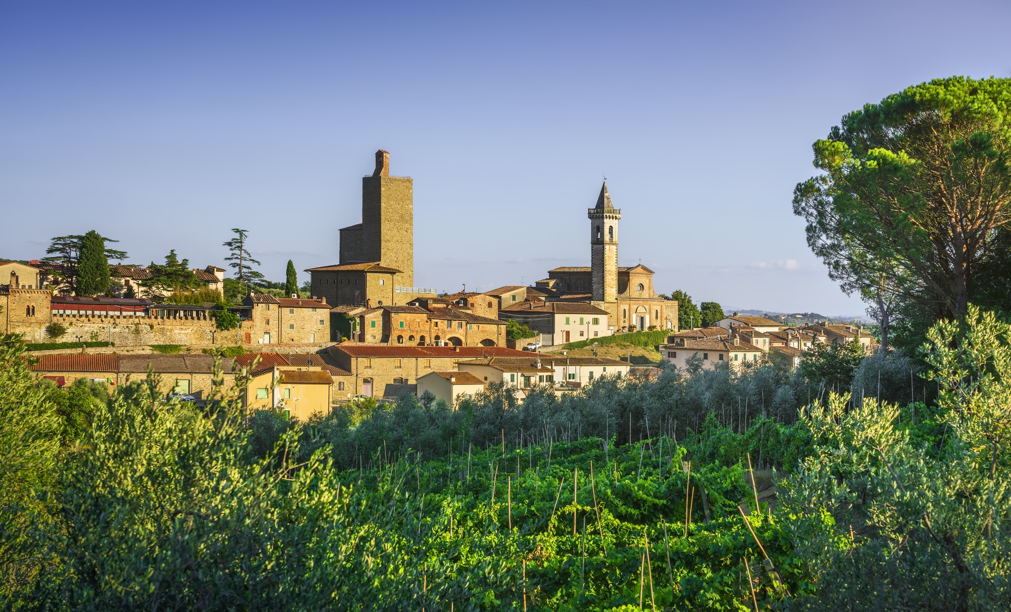 Vinci, Leonardo birthplace, village skyline, vineyards and olive trees. Florence, Tuscany Italy